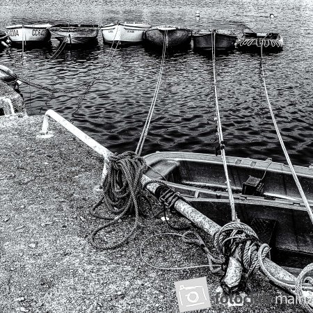 An der kurzen und langen Leine